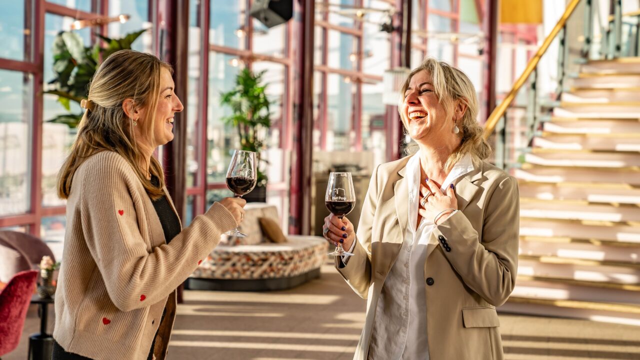 Twee dames lachen onder het genot van een wijntje.