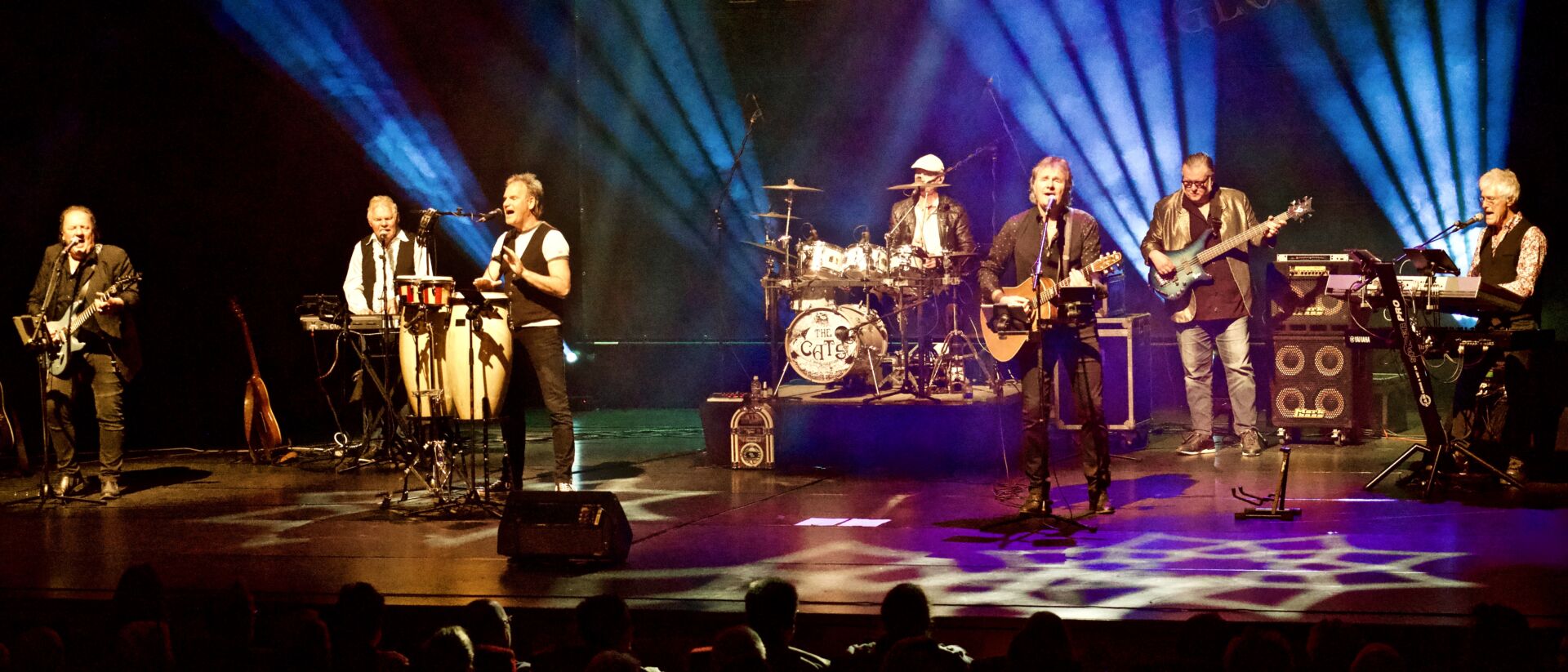 Een foto van The Cats Aglow Tribute op het podium terwijl ze aan het optreden zijn.