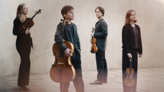 De vier musici van het Animato kwartet staan verspreid verschillende kanten op te kijken