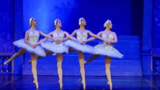 Dansers die dansen in het zwanenmeer