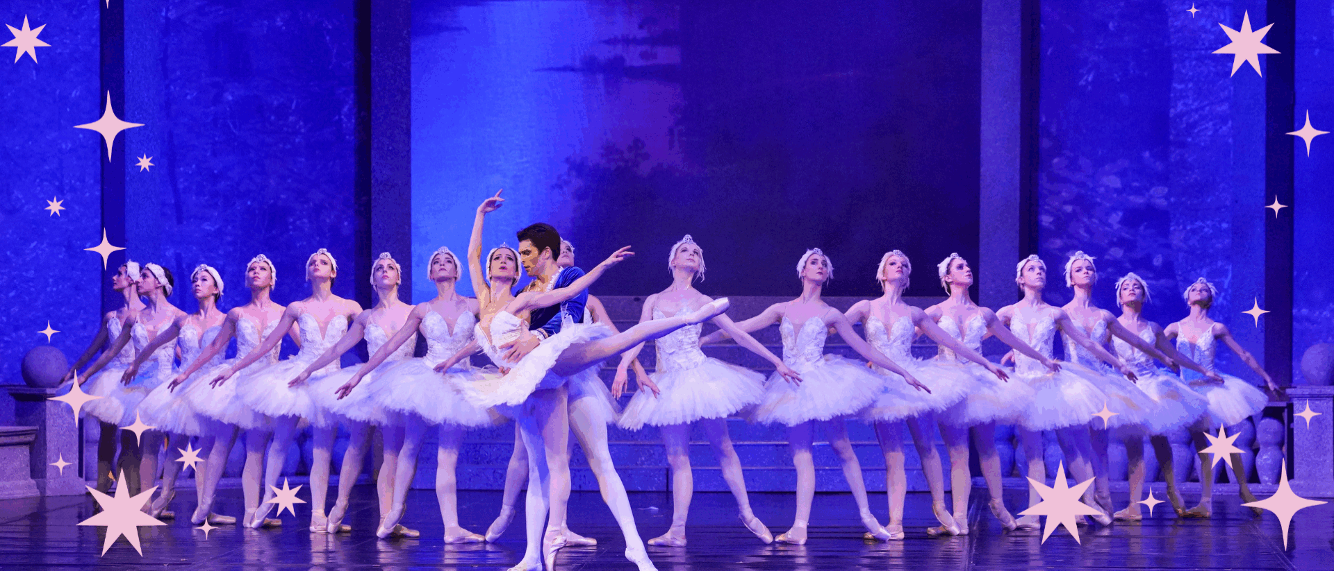 Zwanenmeer met sterretjes